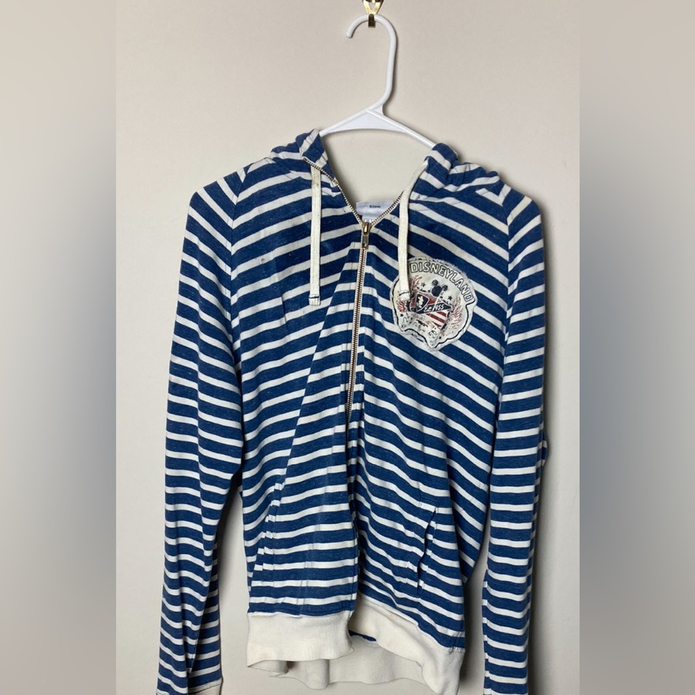 1995 vintage Disneyland park hoodie (used)